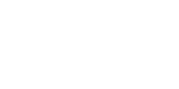 House of Lies