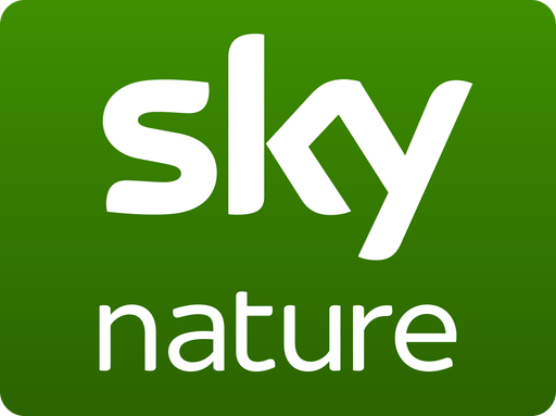 Sky Nature