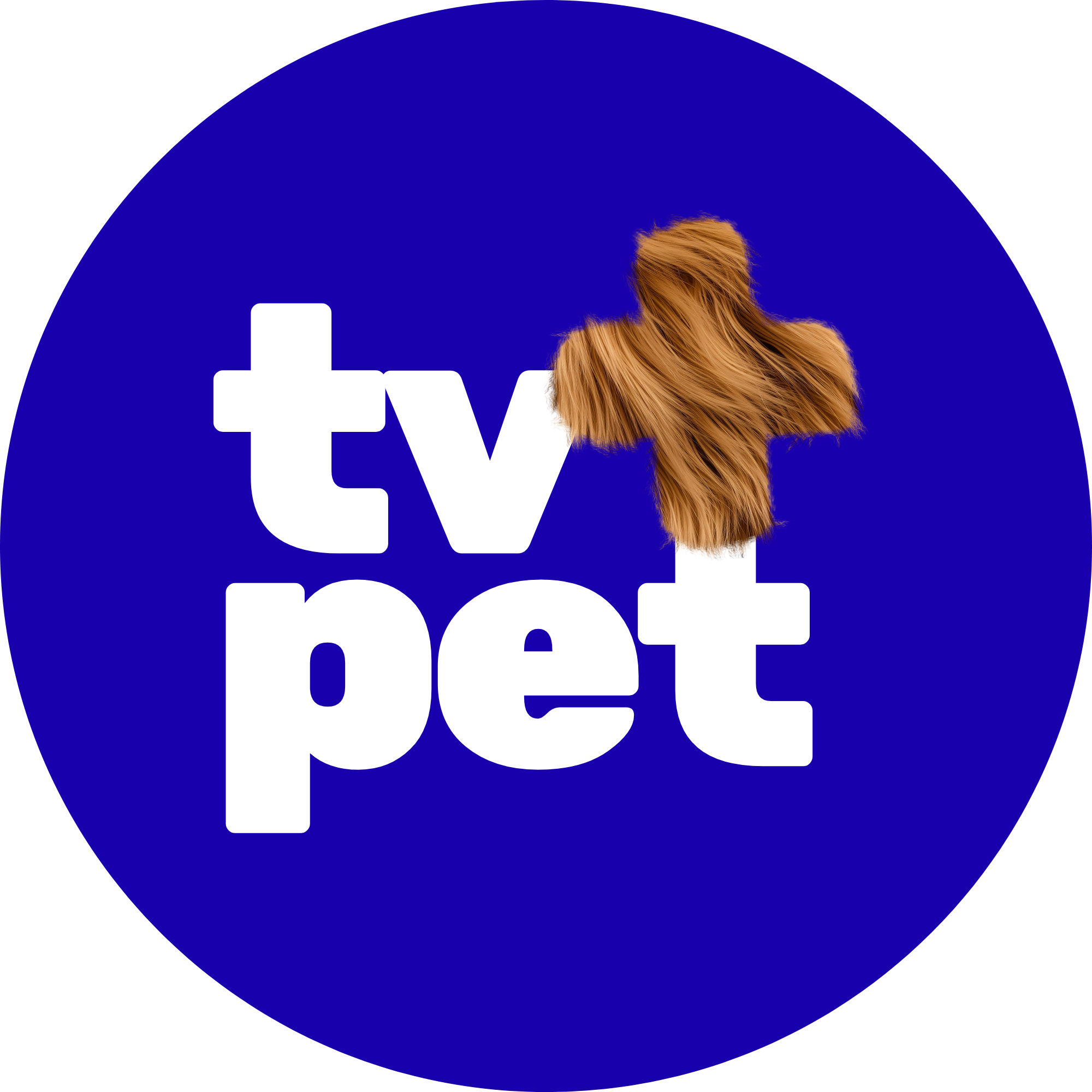 TV+Pet